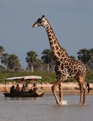 boat_safari_selous__1_3